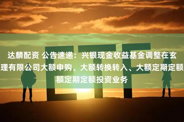 达麟配资 公告速递：兴银现金收益基金调整在玄元保险代理有限公司大额申购、大额转换转入、大额定期定额投资业务