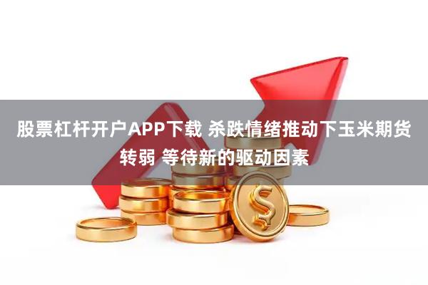 股票杠杆开户APP下载 杀跌情绪推动下玉米期货转弱 等待新的驱动因素